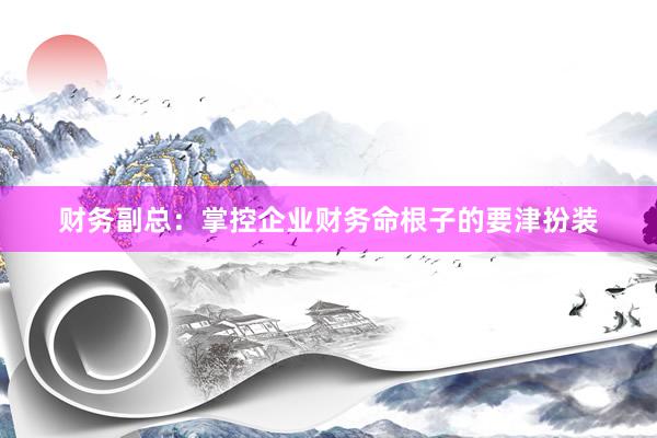 财务副总：掌控企业财务命根子的要津扮装